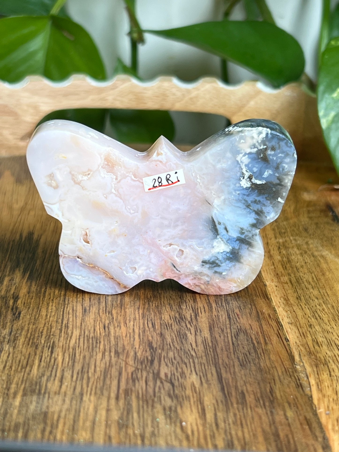 Rainbow Plume Agate Butterfly Ri