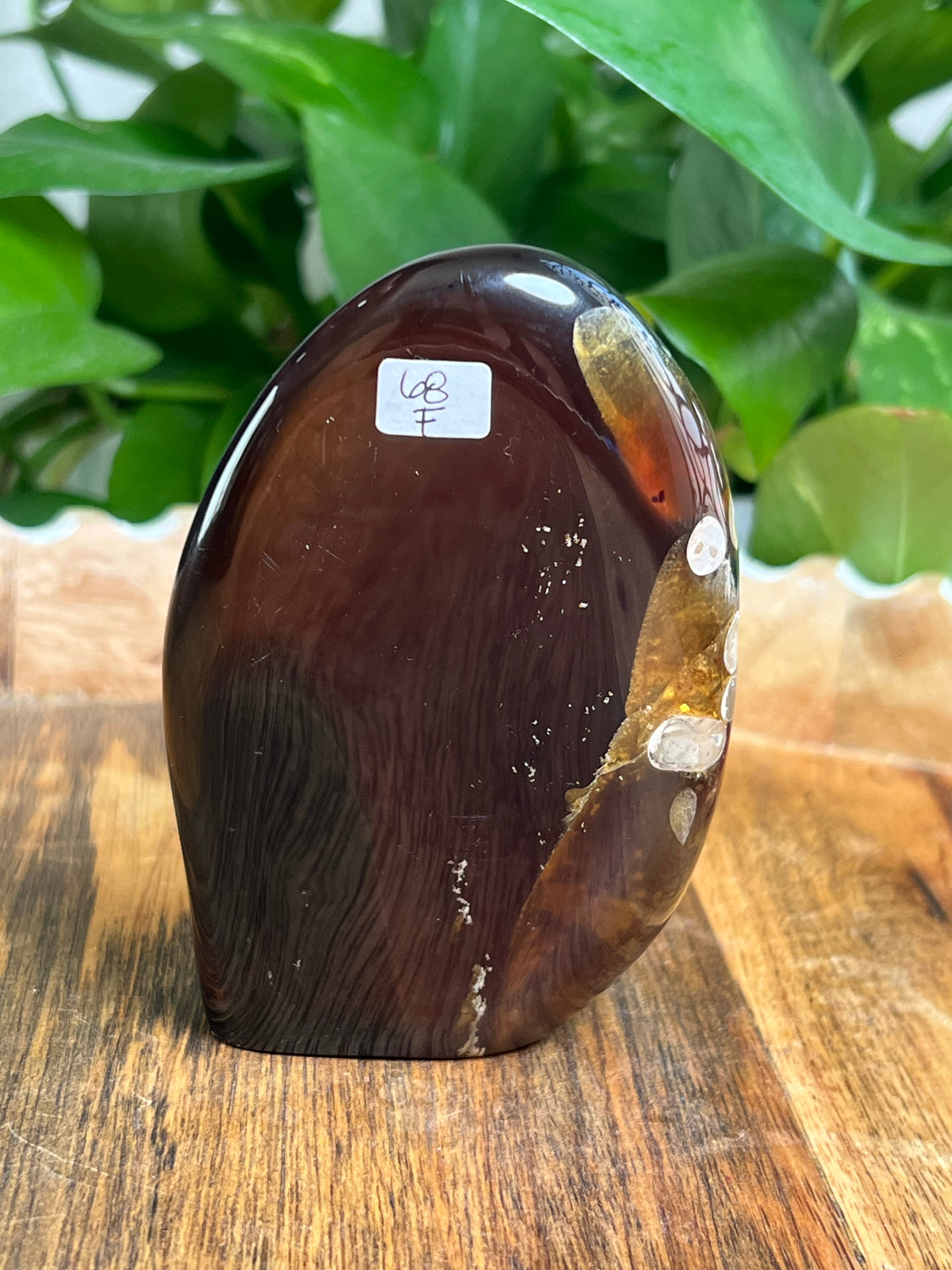 Blue Amber Freeform: F