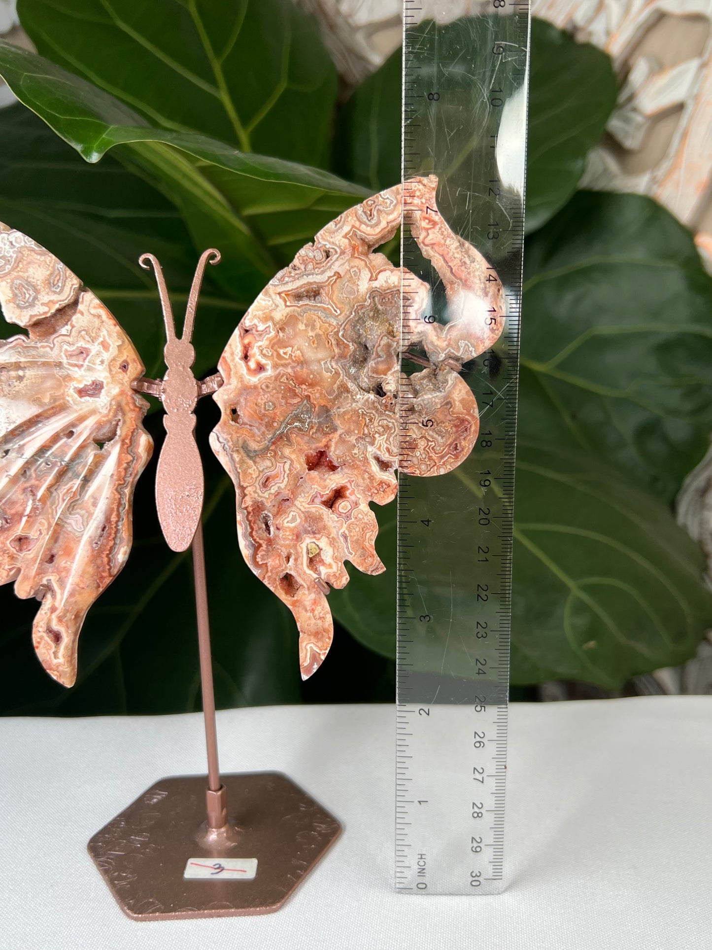 Crazy Lace Agate Wings