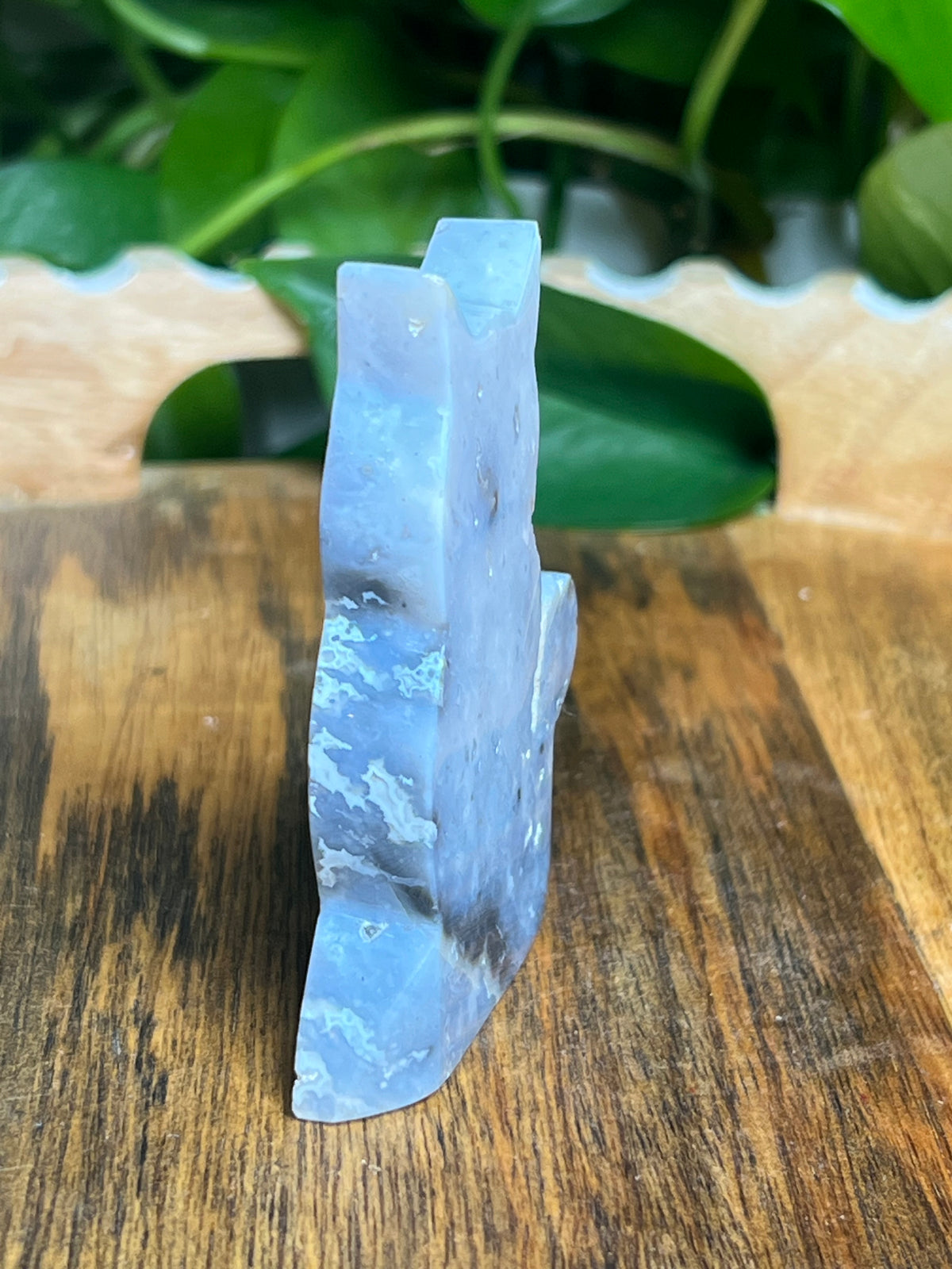 Blue Plume Agate Cat: BE