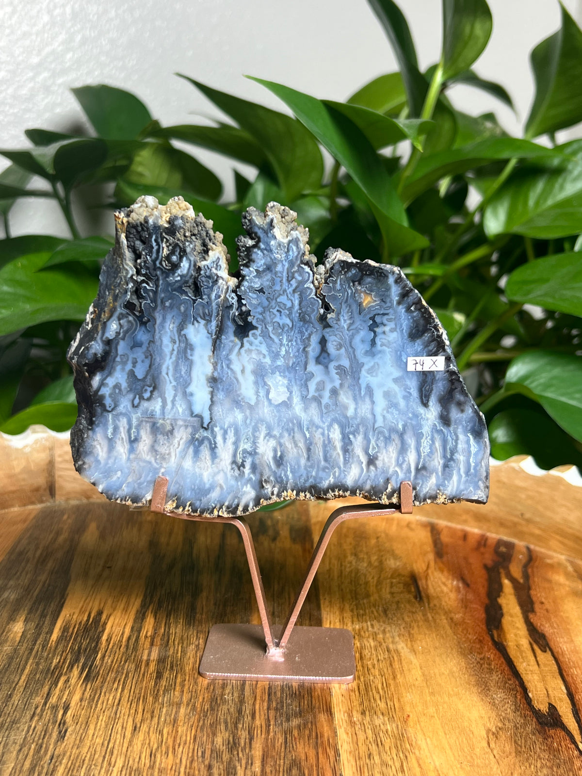 Blue Plume Agate Slab: X