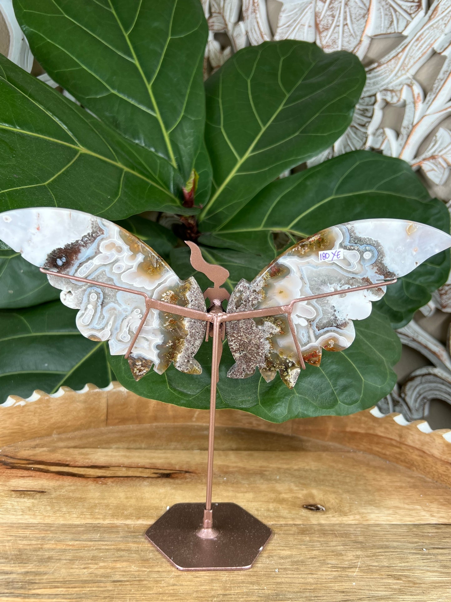 Scenic moss agate wings