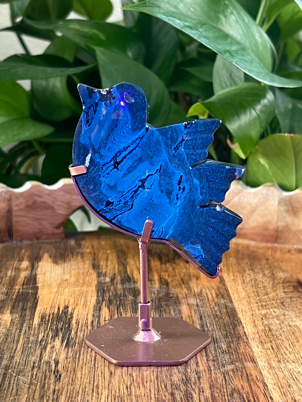 Blue Amber Bird: AE