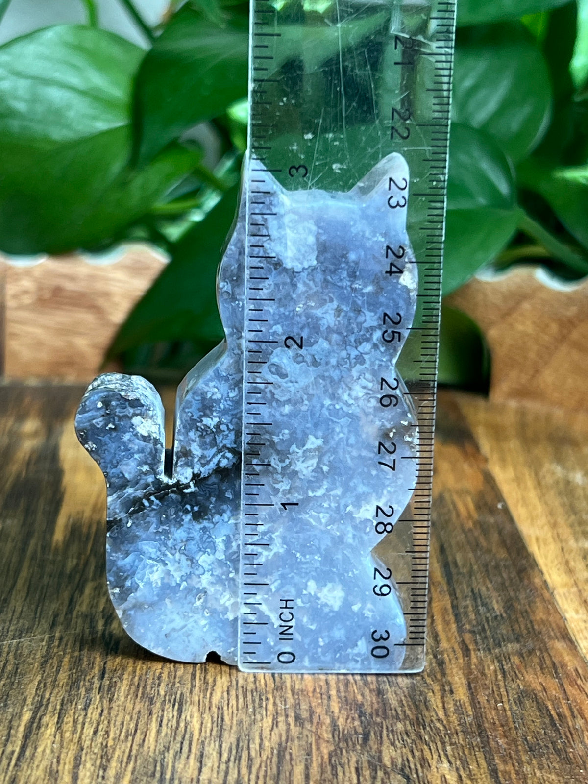 Blue Plume Agate Cat: BG