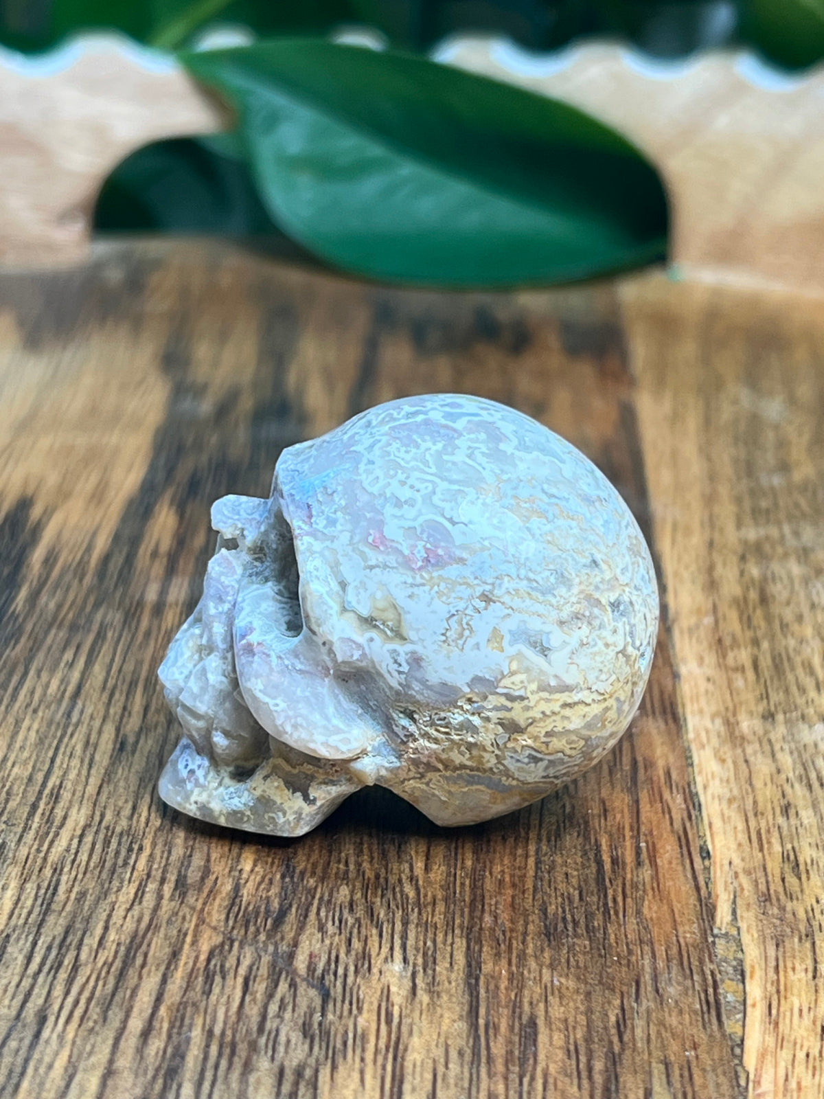 Sumatra Plume Agate Mini Skull: D