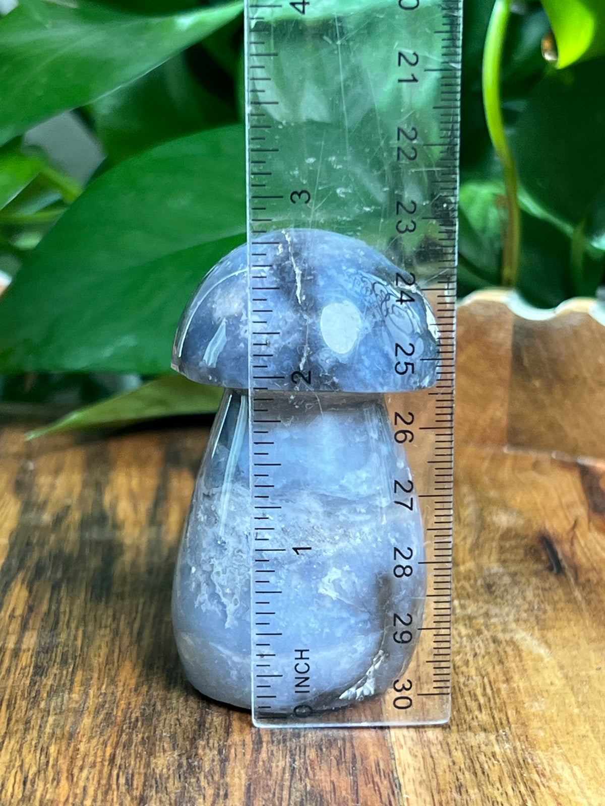 Blue Plume Agate Mushroom: CF