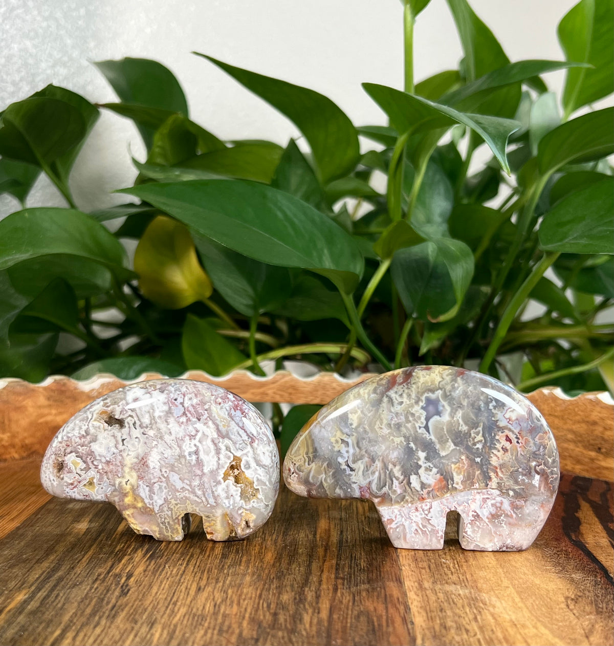 Sumatra Plume Agate Bears
