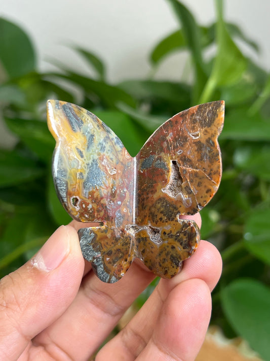 Marcasite 3D Butterfly: MC