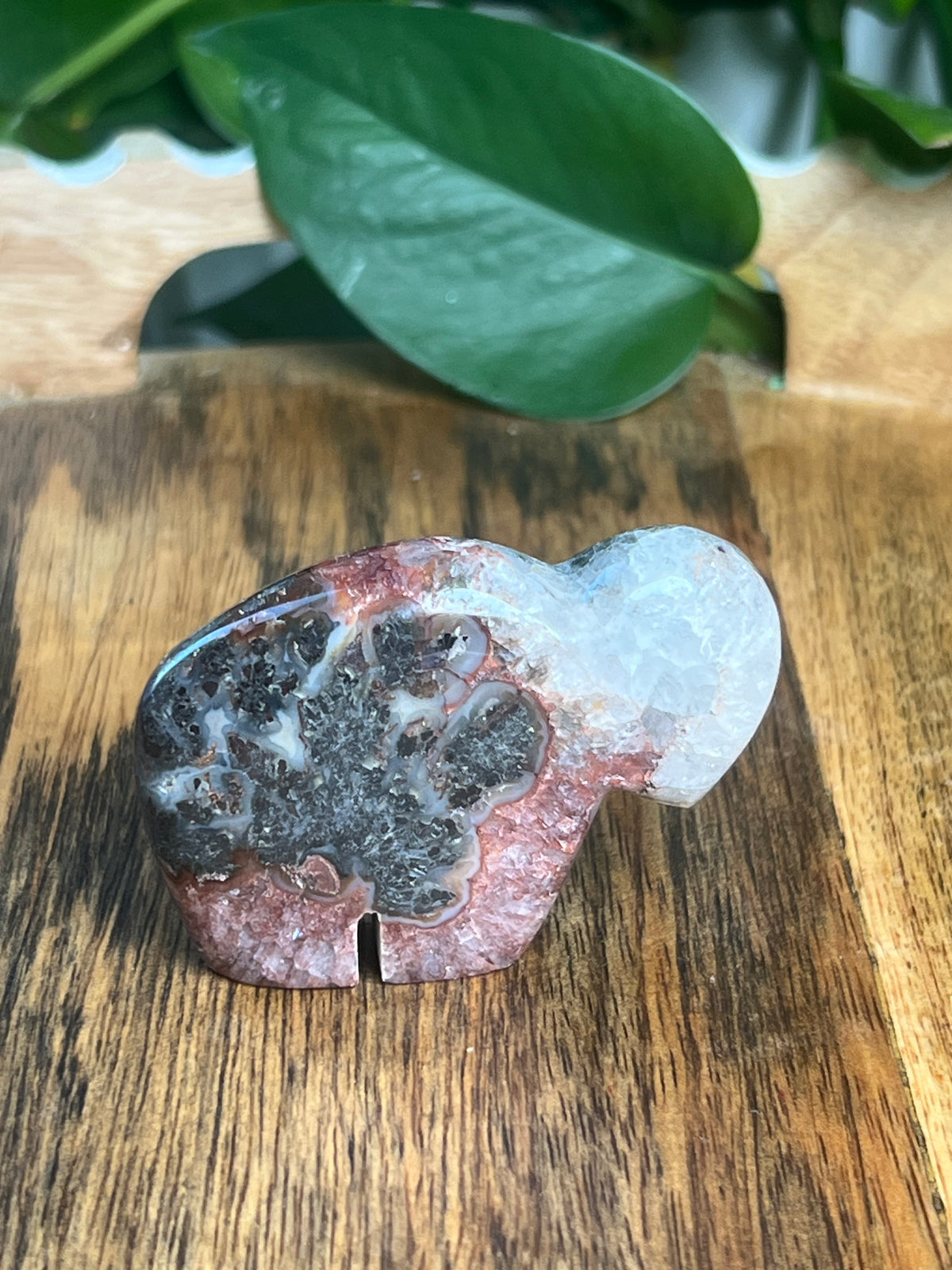 Marcasite Mini Buffalo: MF
