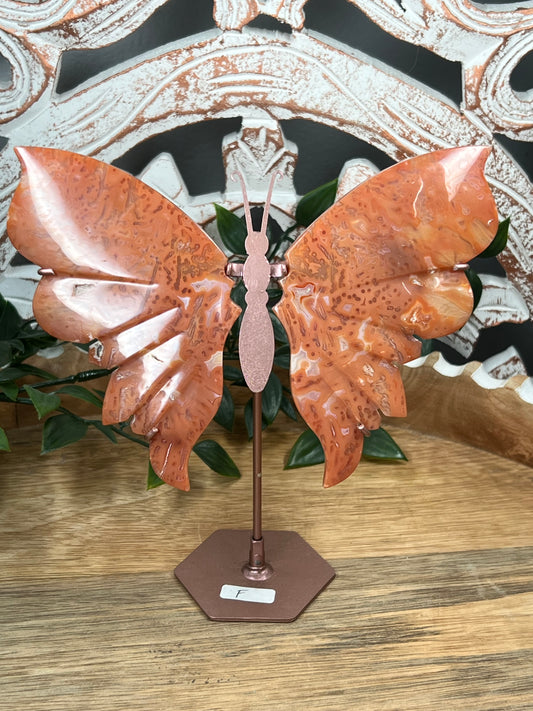 Carnelian Wings