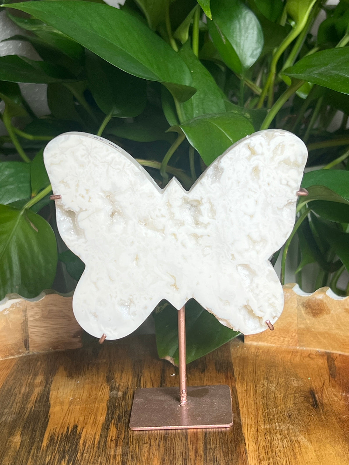 White Plume Agate Butterfly: NB