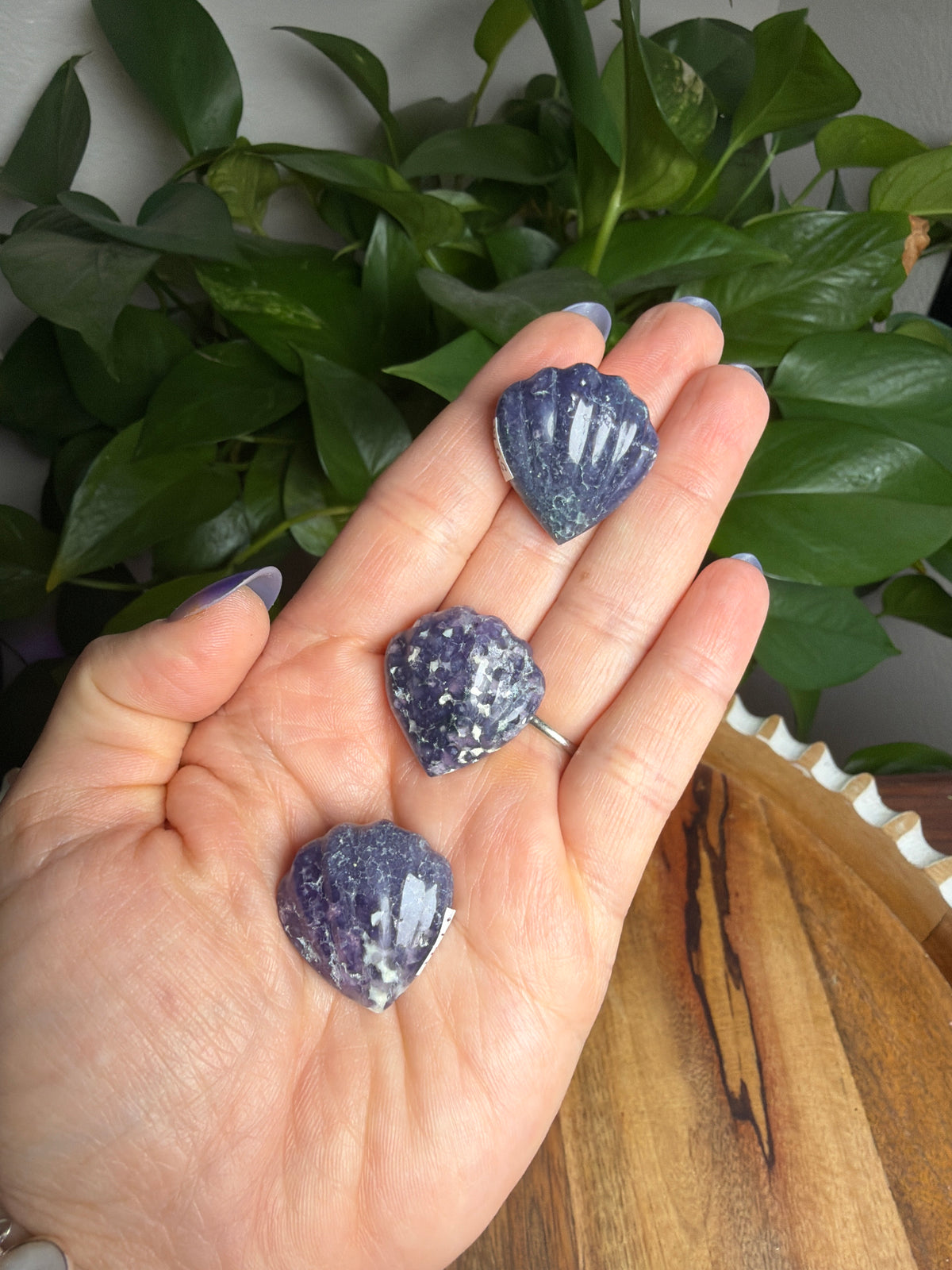 Grape Agate Shells