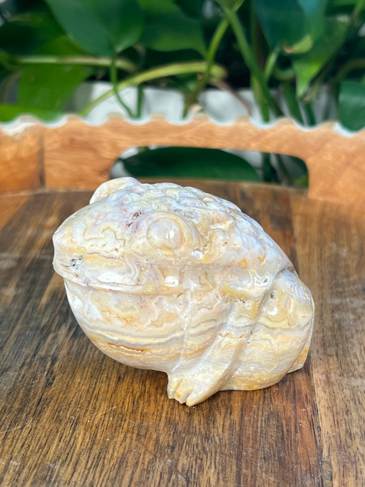 Yellow Crazy Lace Agate Frogs