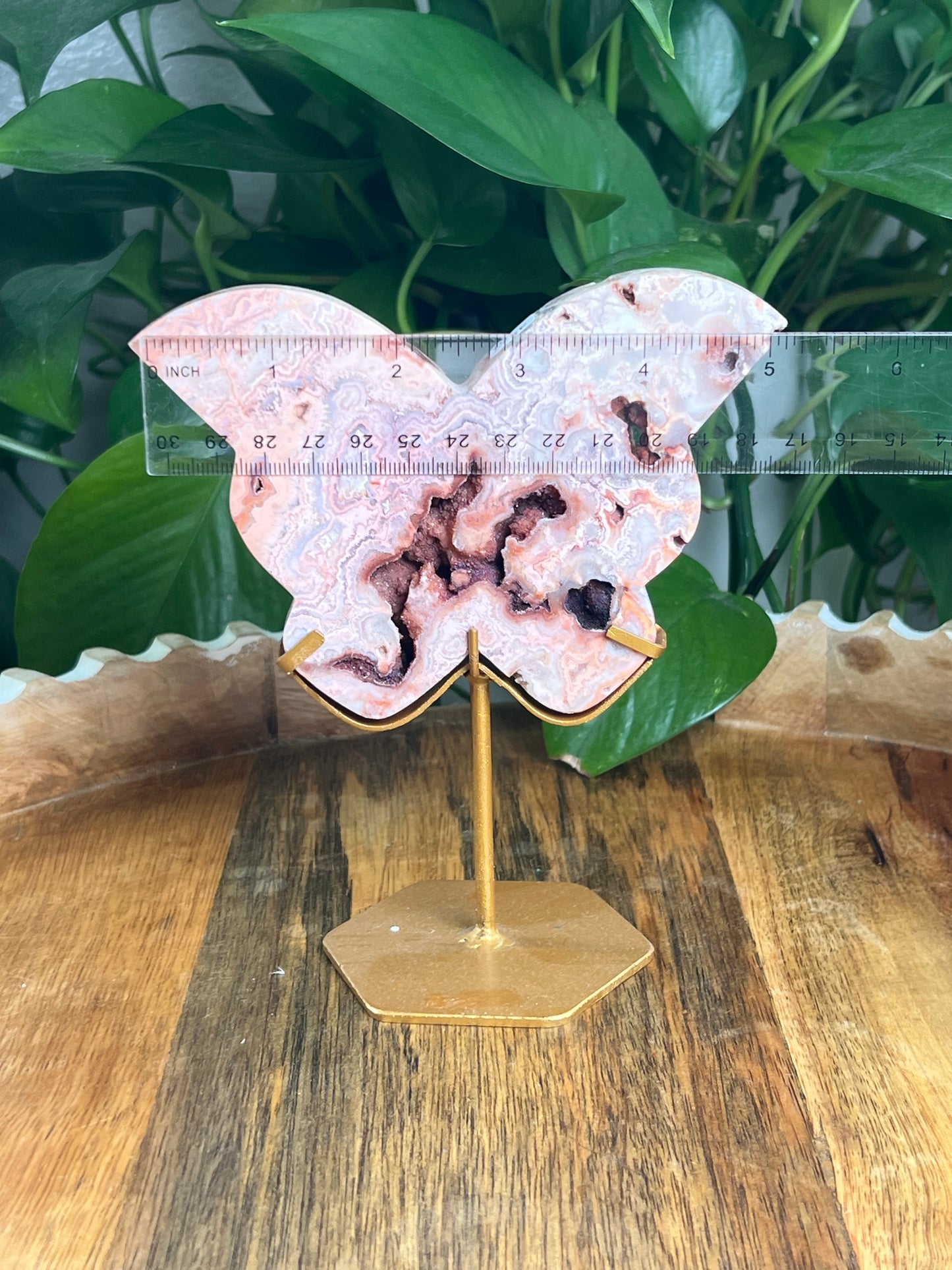 Crazy Lace Agate Butterfly: XE