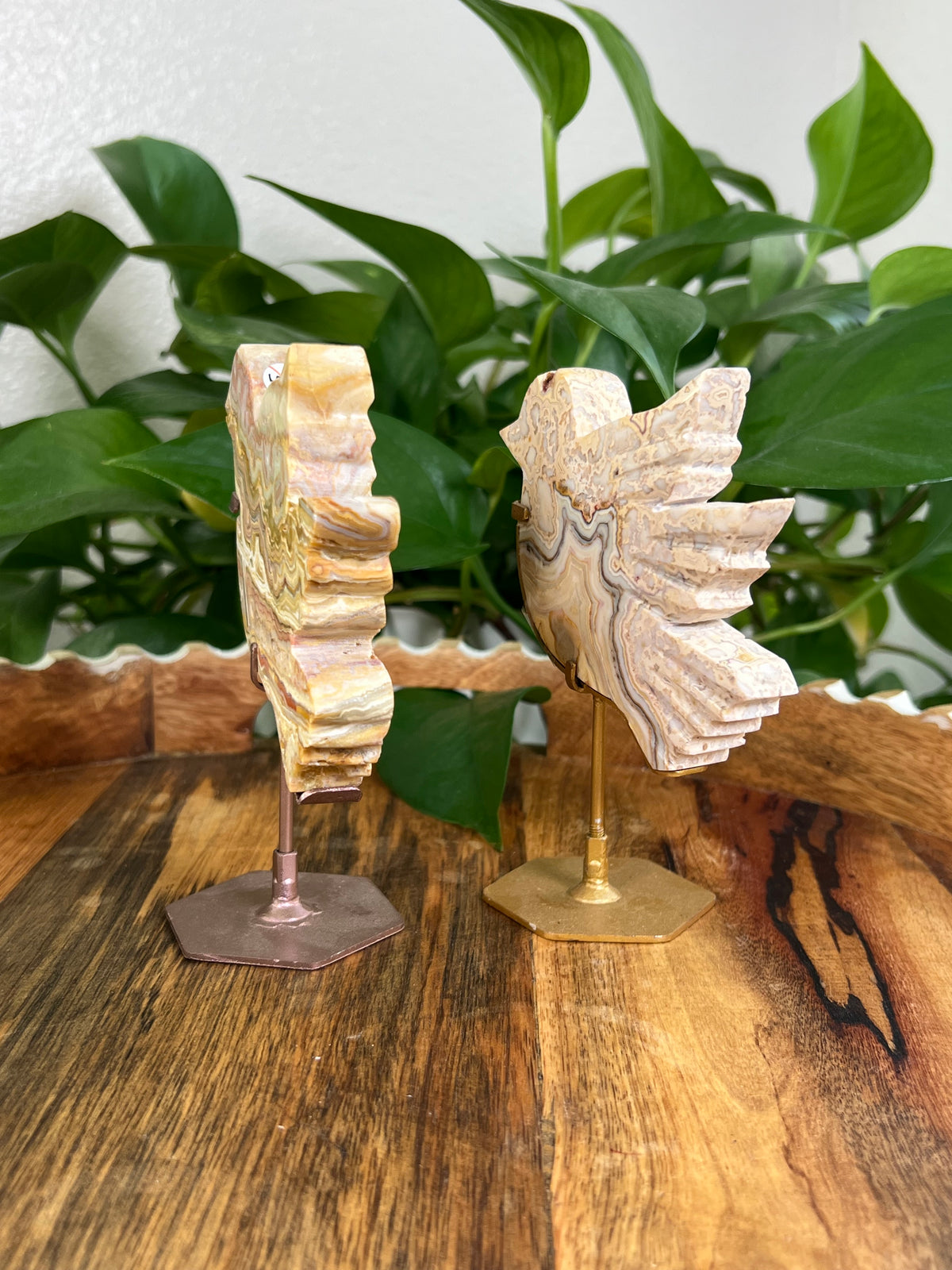 Crazy Lace Agate Birds