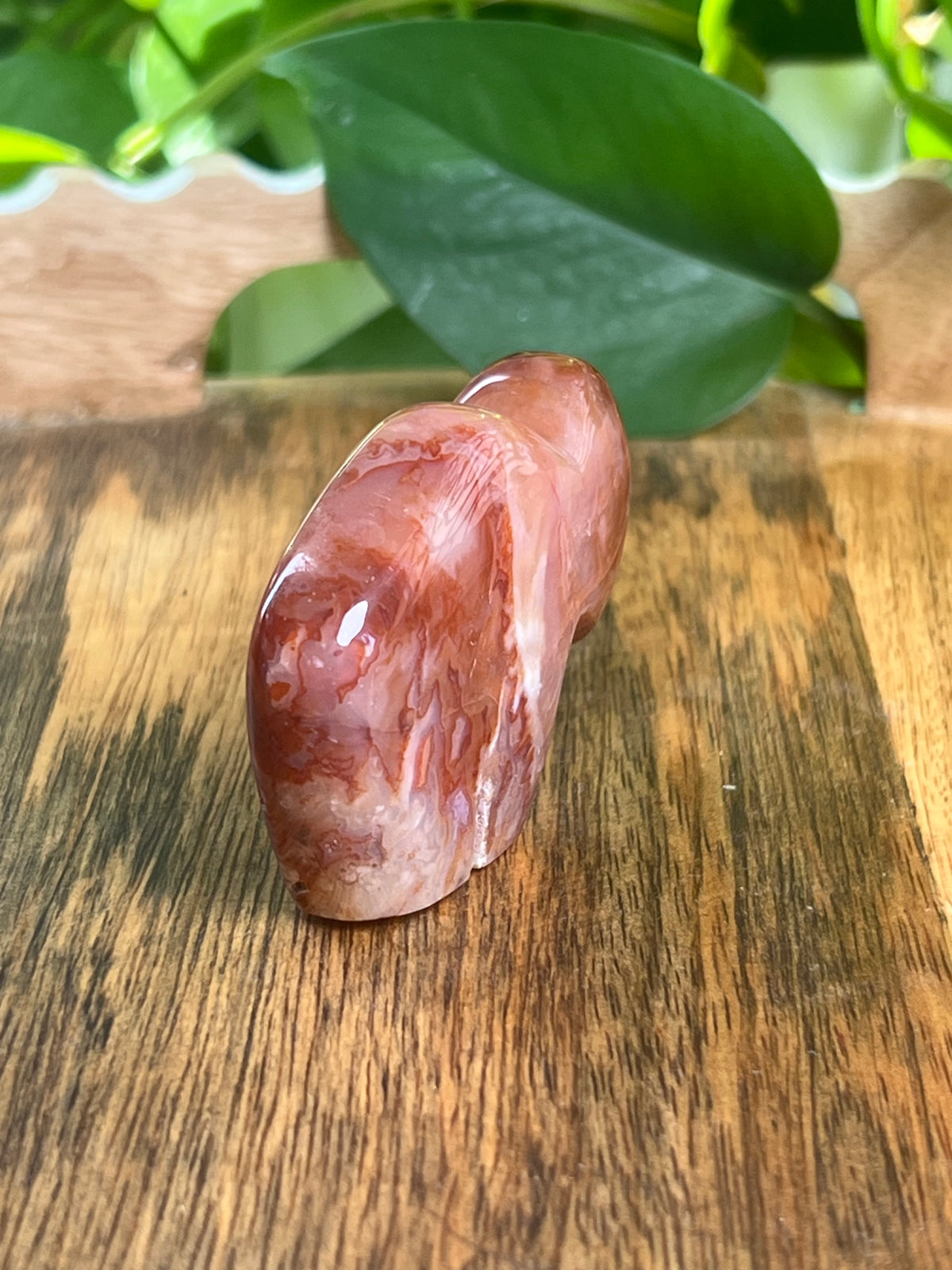 Carnelian Mini Buffalo: BB