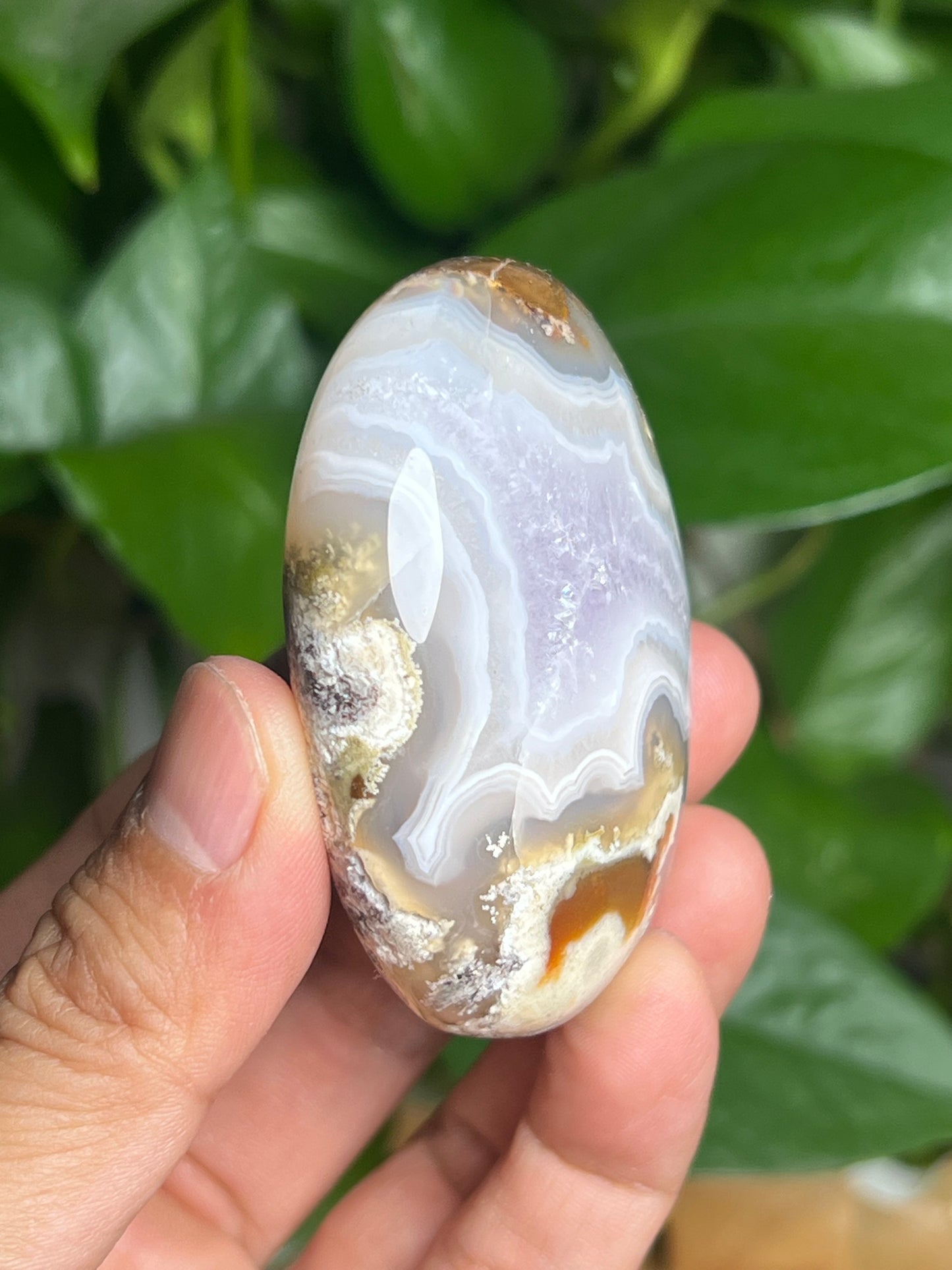 Scenic Moss Agate Palmstone: BC