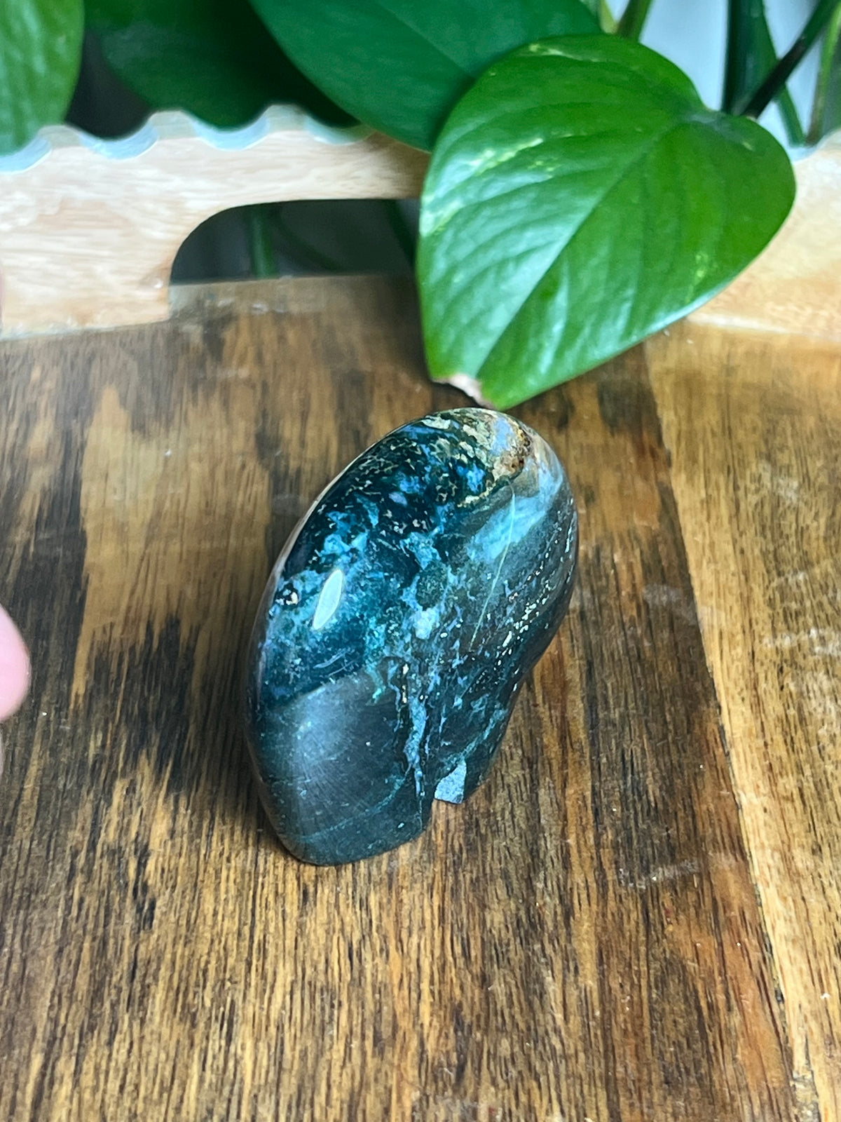 Blue Green Jasper Bear: KC