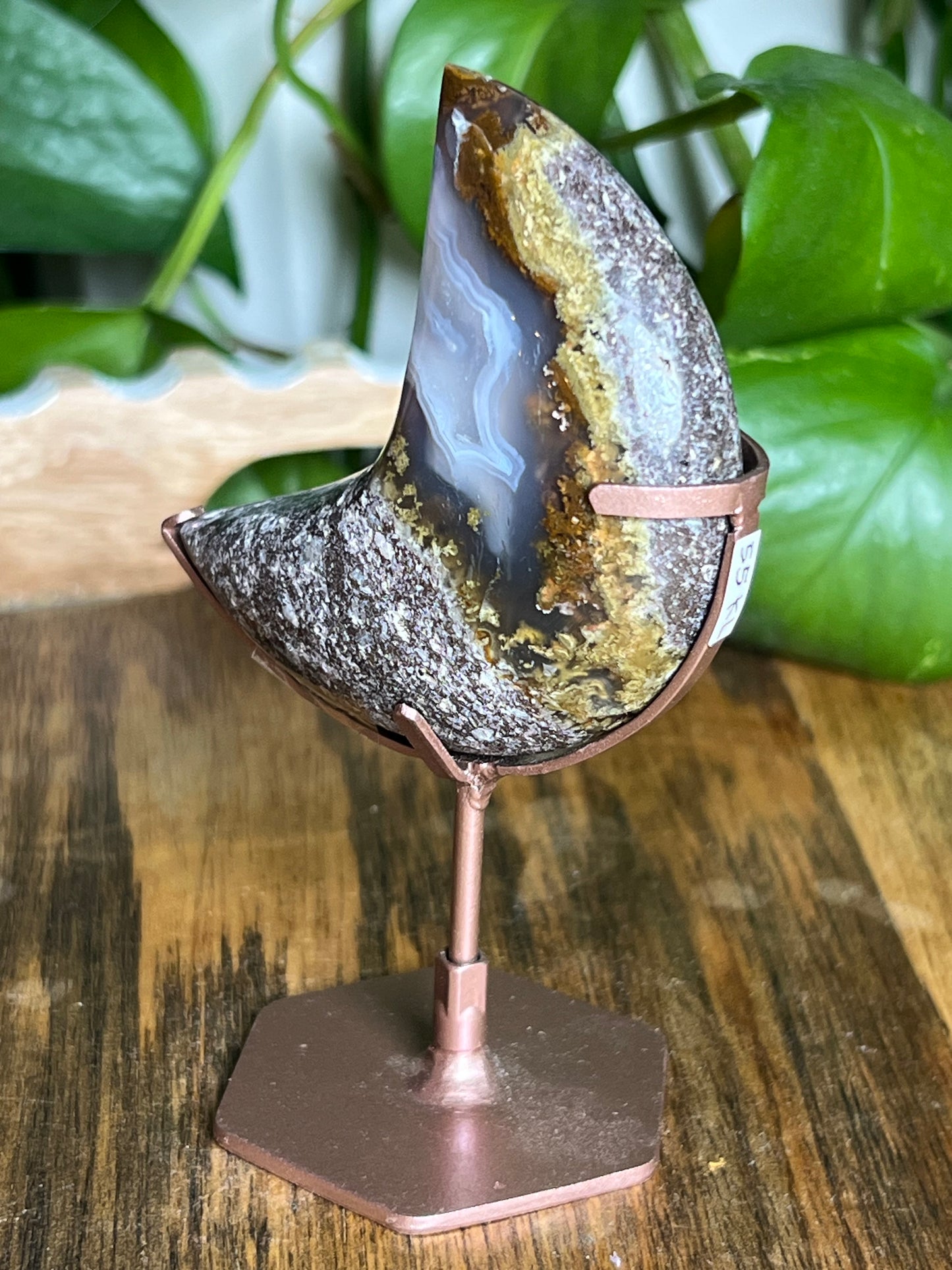 Scenic Moss Agate Moon