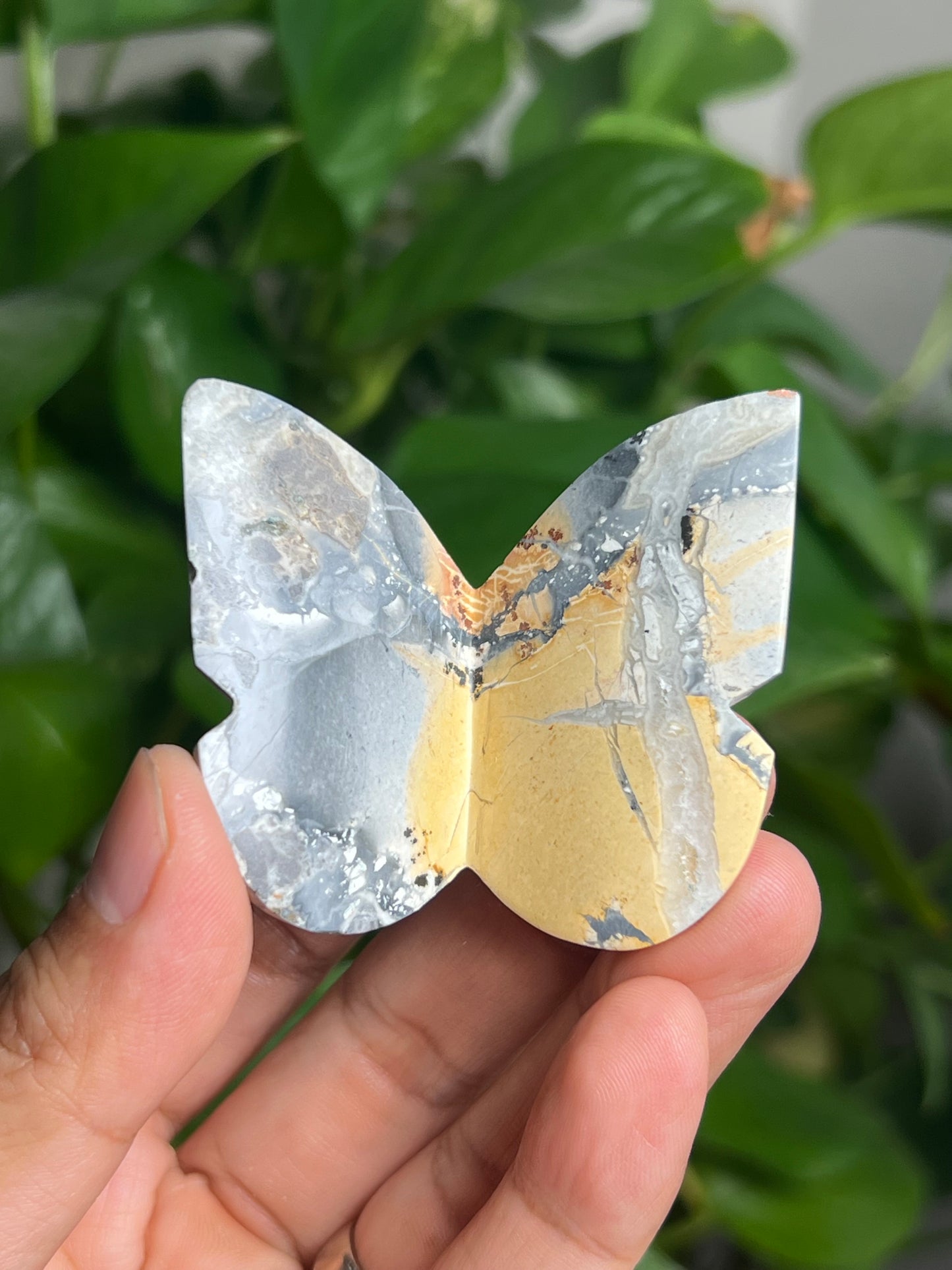 Maligano 3D Butterfly: AD
