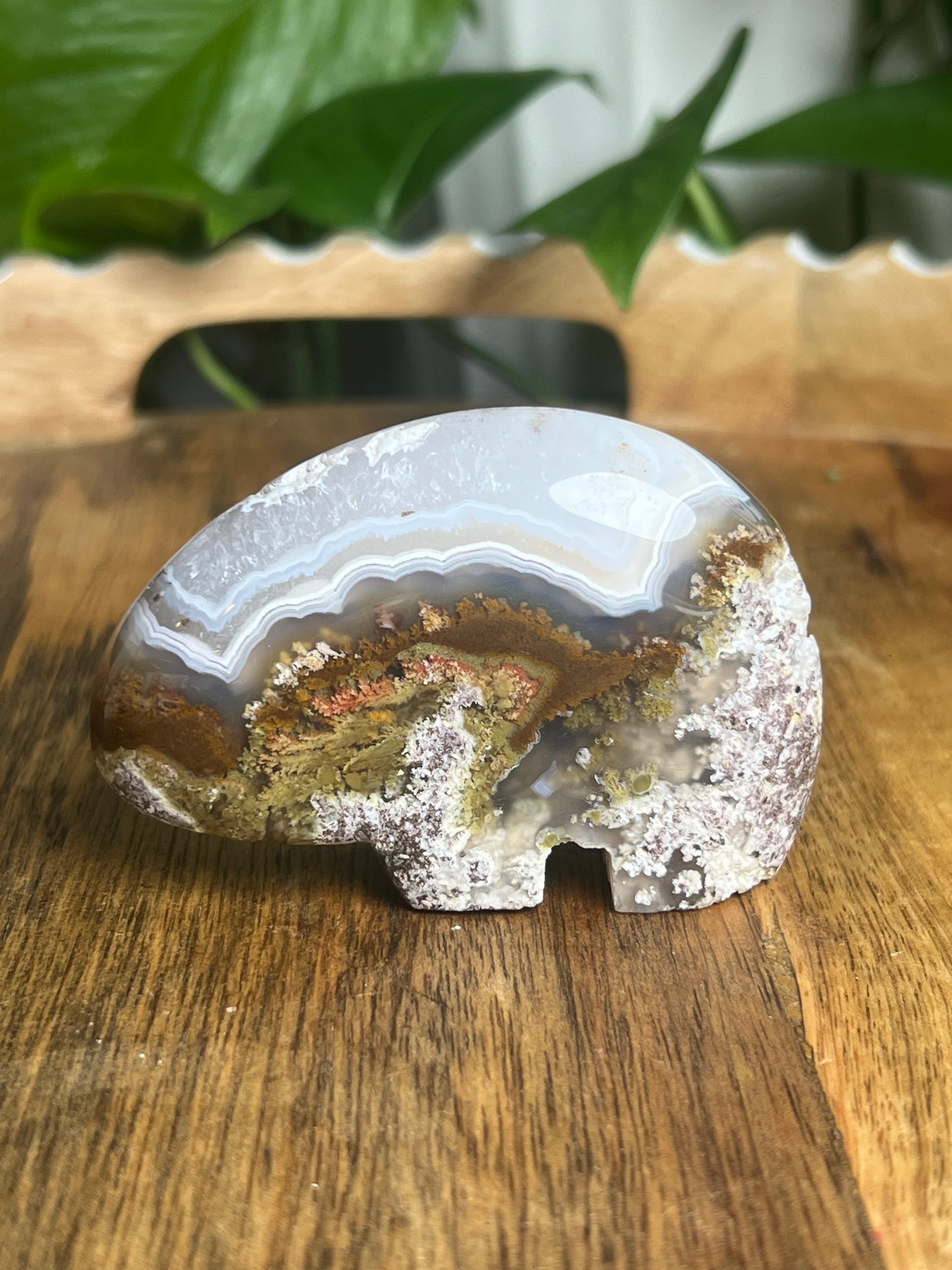Scenic Moss Agate Bear BQ