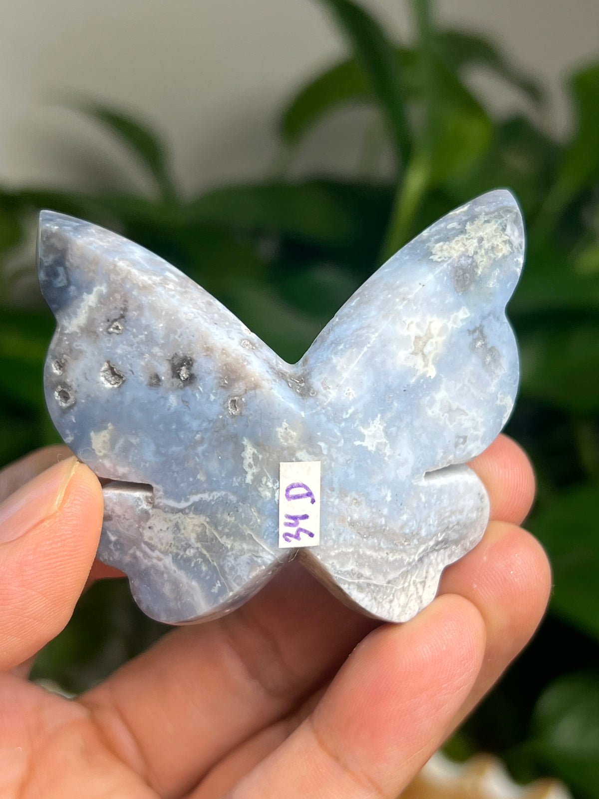 Blue Plume Agate 3D Butterfly: D