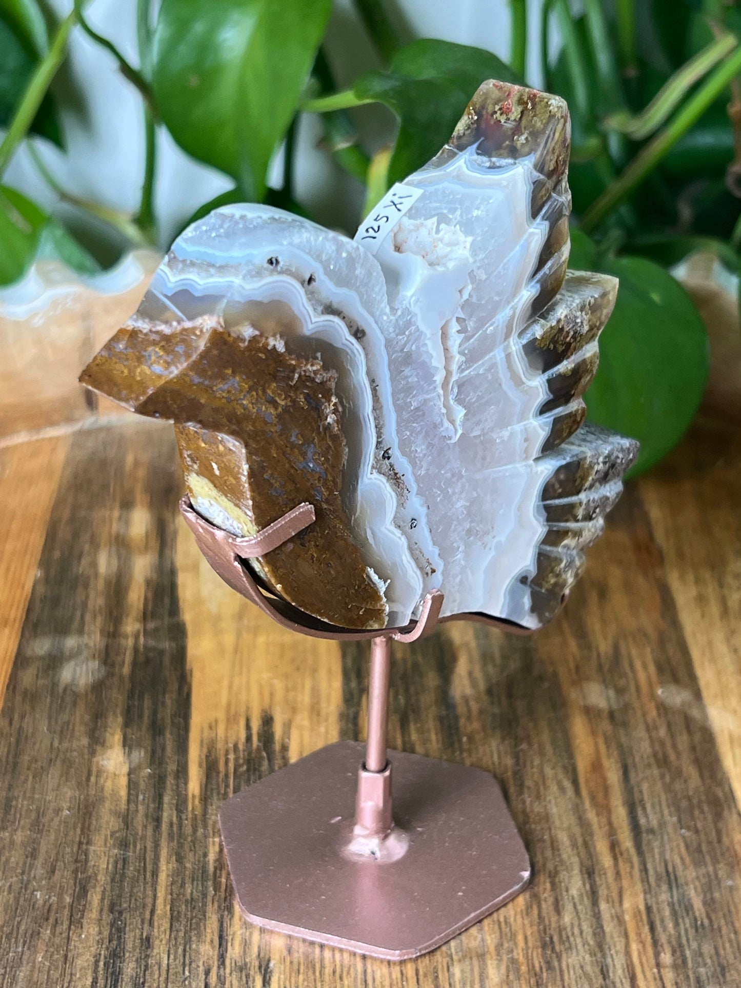 Scenic Moss Agate Bird