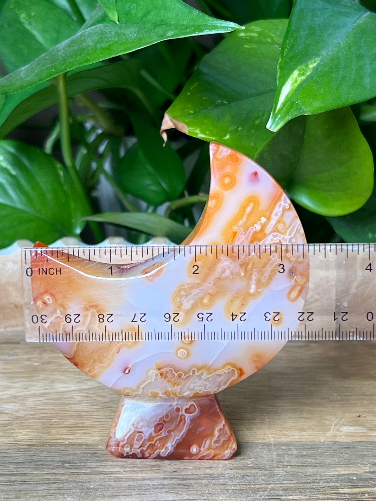 Carnelian Moon