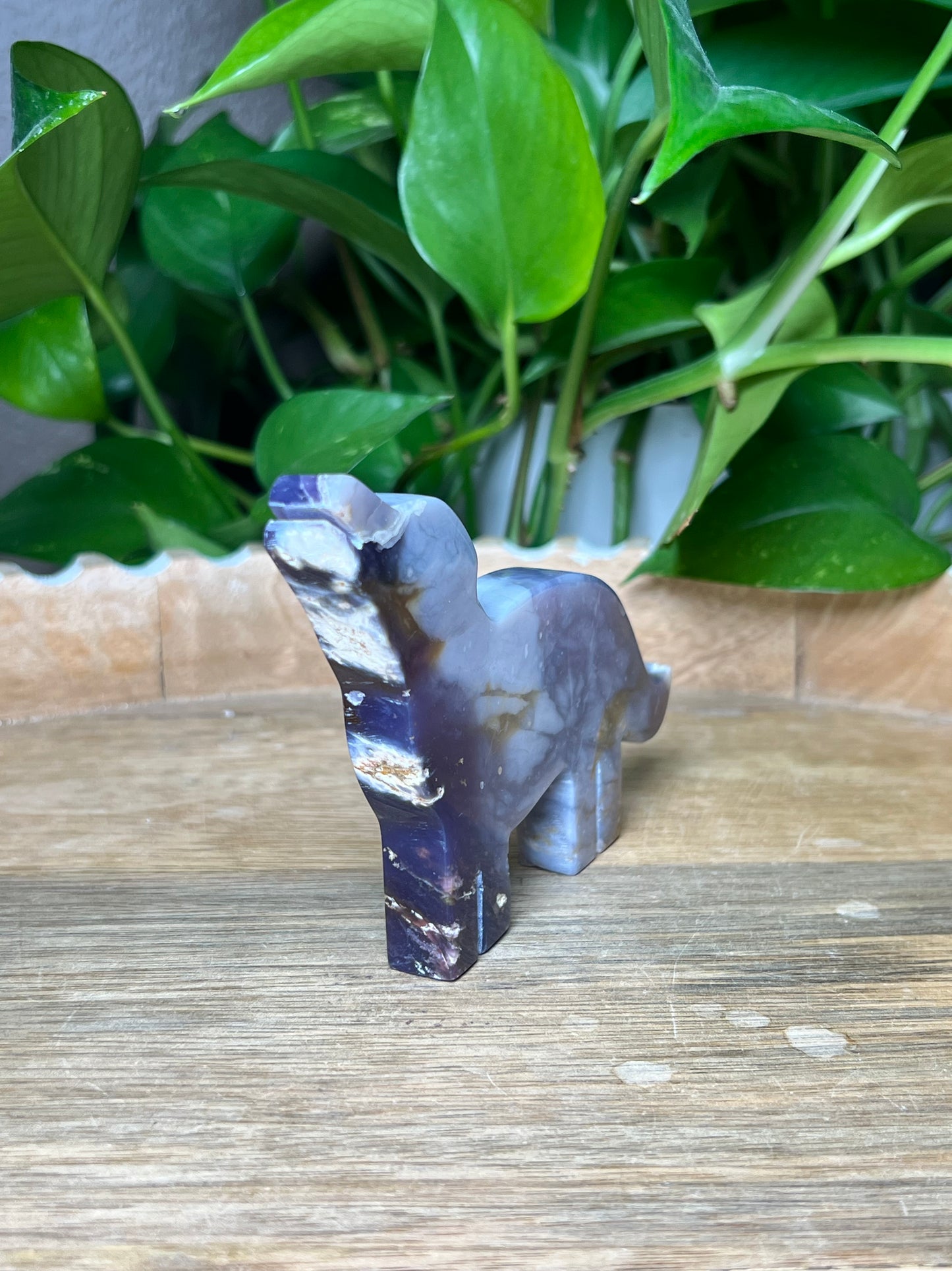 Purple Chalcedony Dog