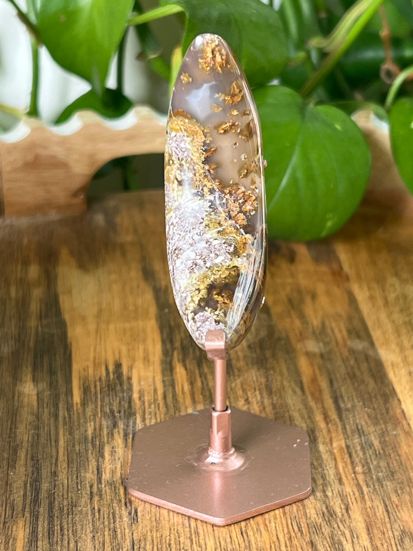 Scenic Moss Agate Moon