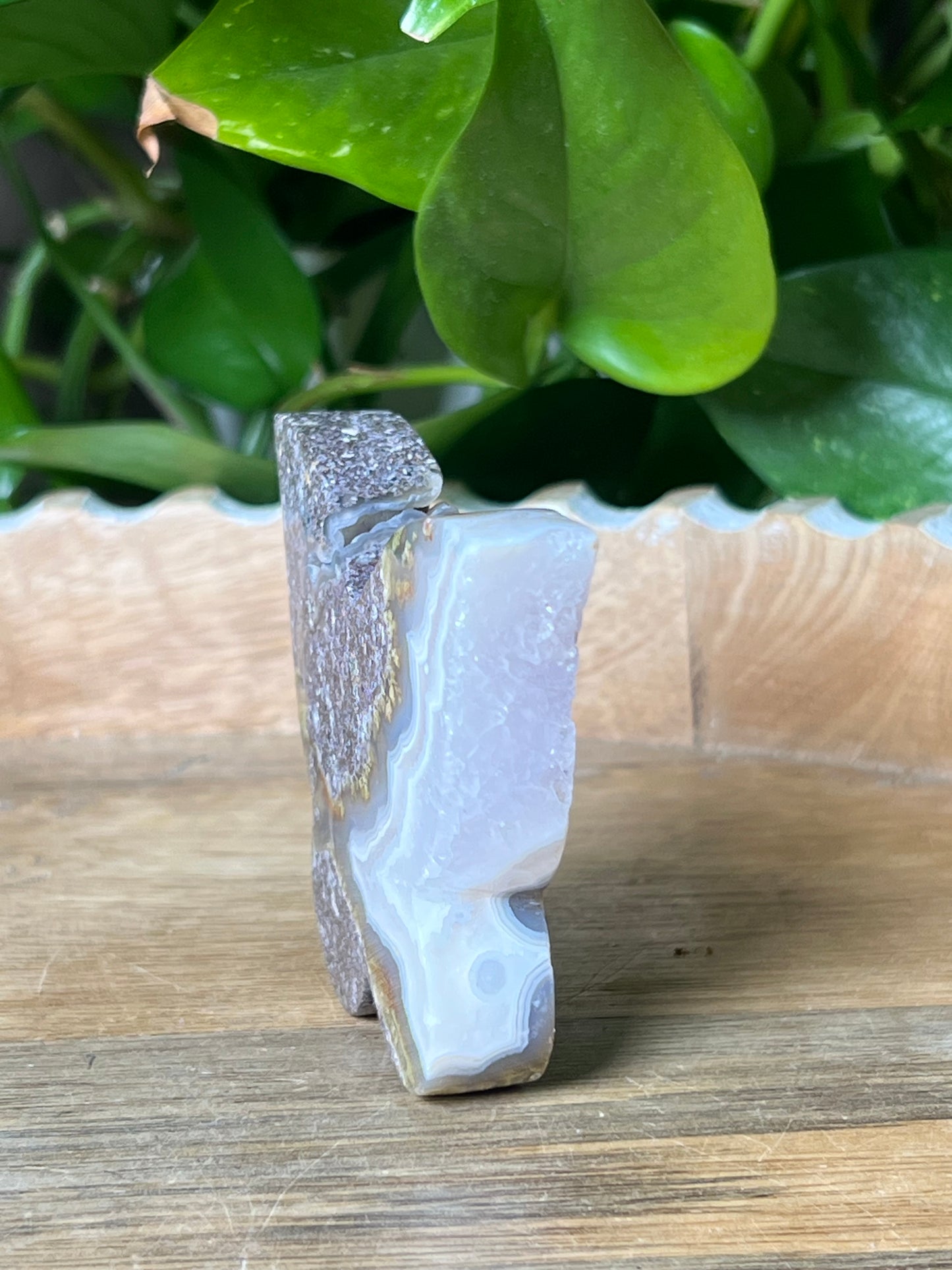 Scenic Moss Agate Butterfly