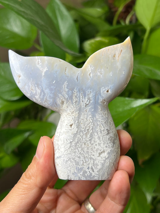 Winter Plume Agate Tail