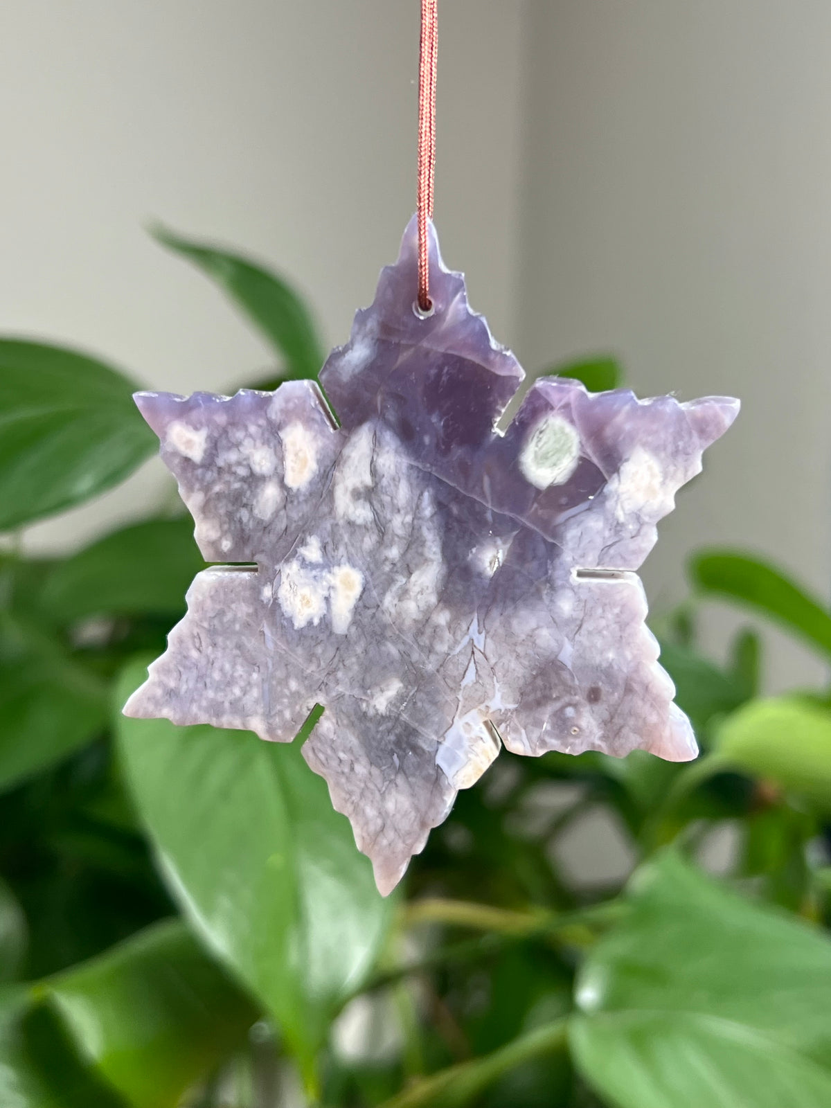 Palm Root Ornament Snowflake: CF