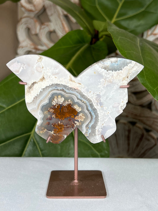 Scenic Moss Agate Butterfly