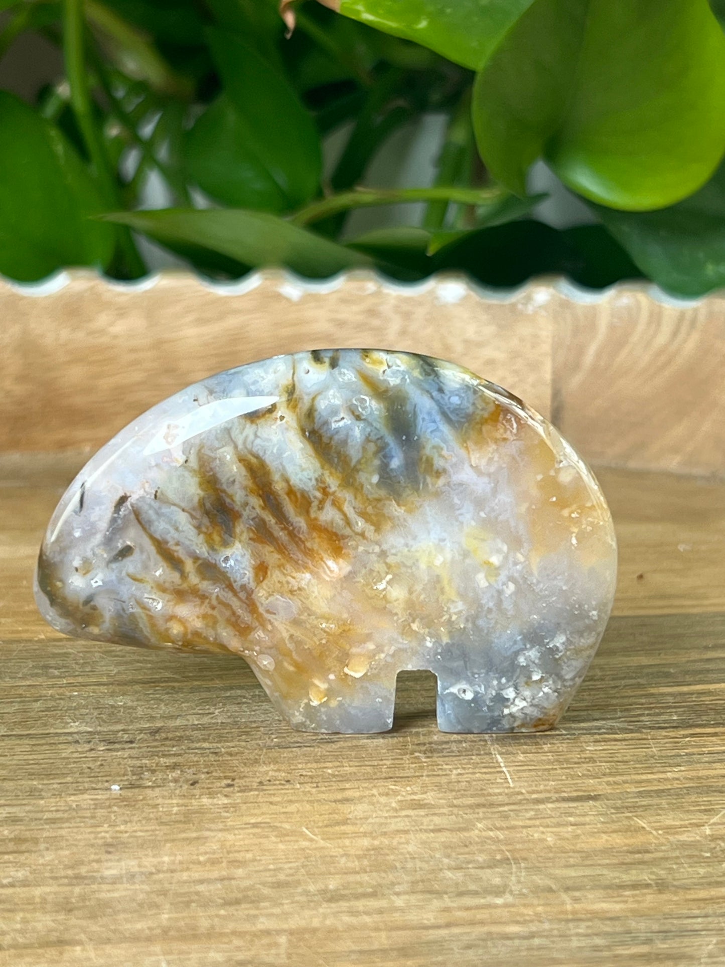 Rainbow Plume Agate Bear