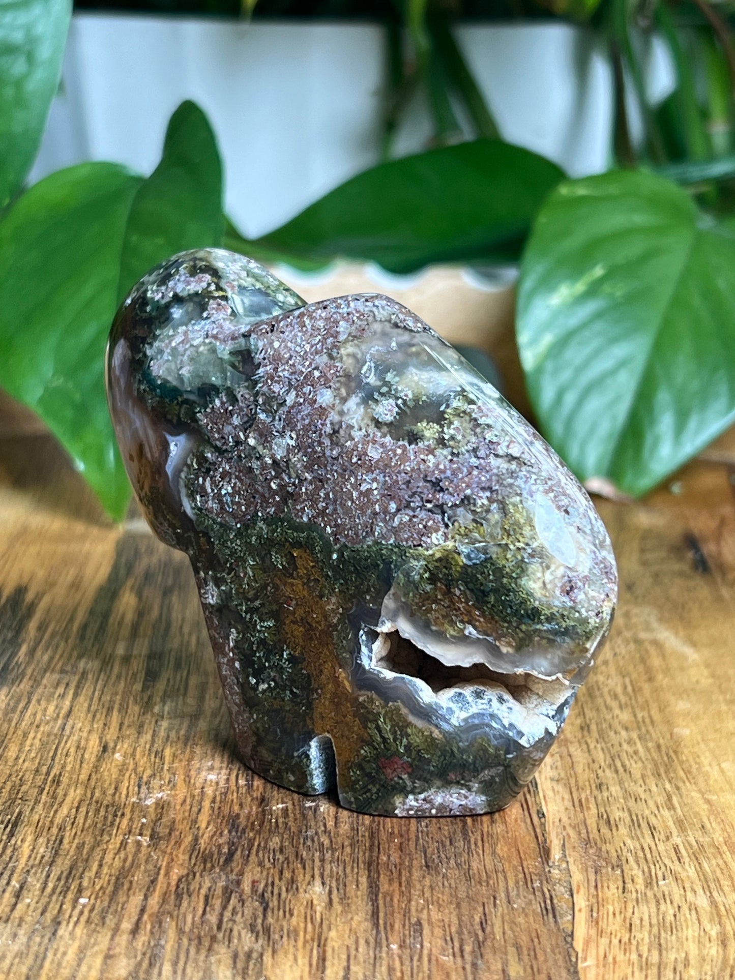 Scenic Moss Agate Buffalo NB