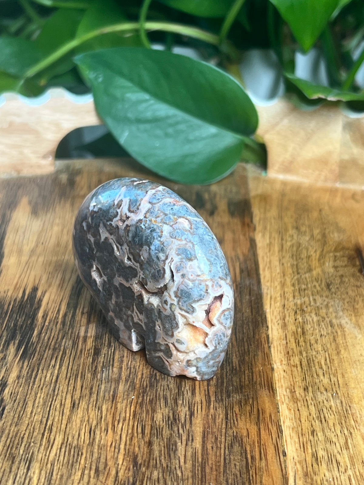 Marcasite Bear: TE
