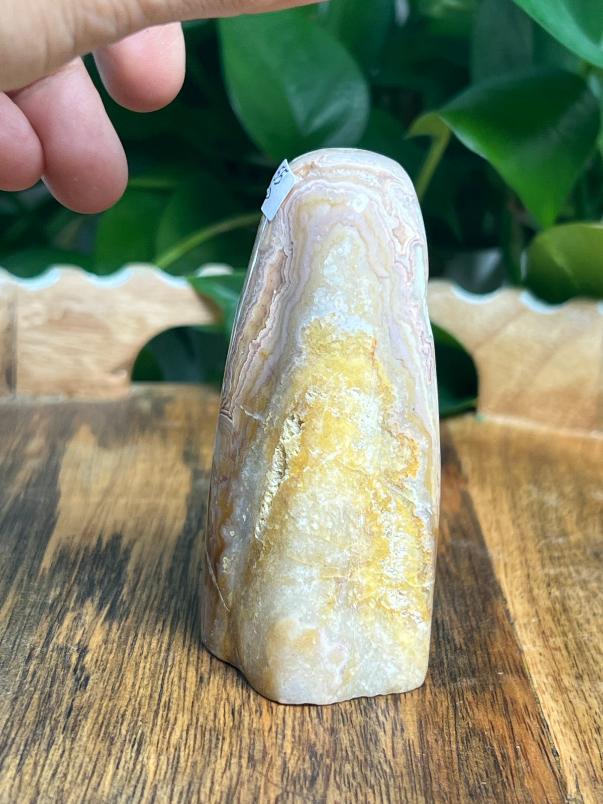 Crazy Lace Agate Ghost: P