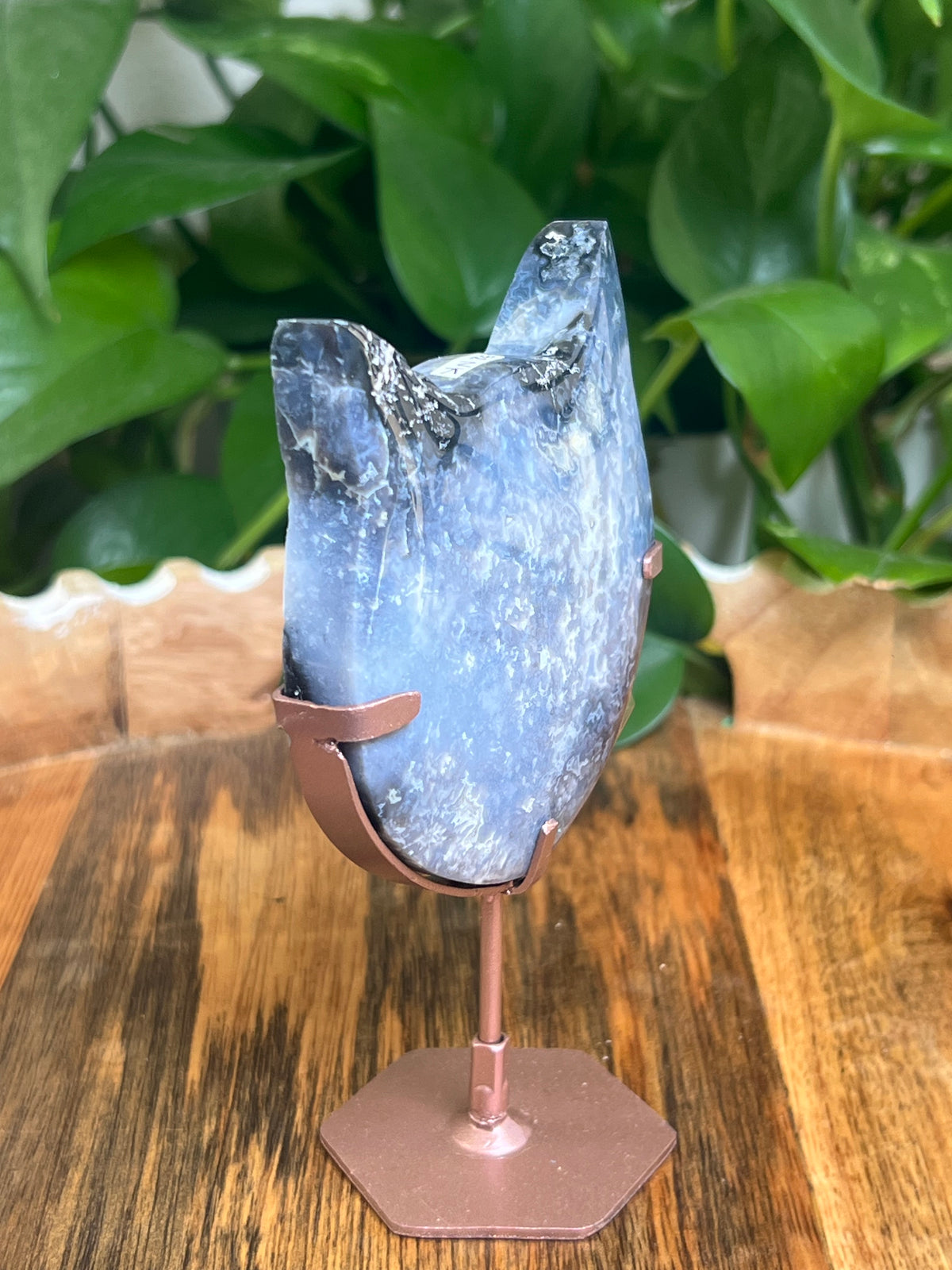 Blue Plume Agate Cat Head: NK