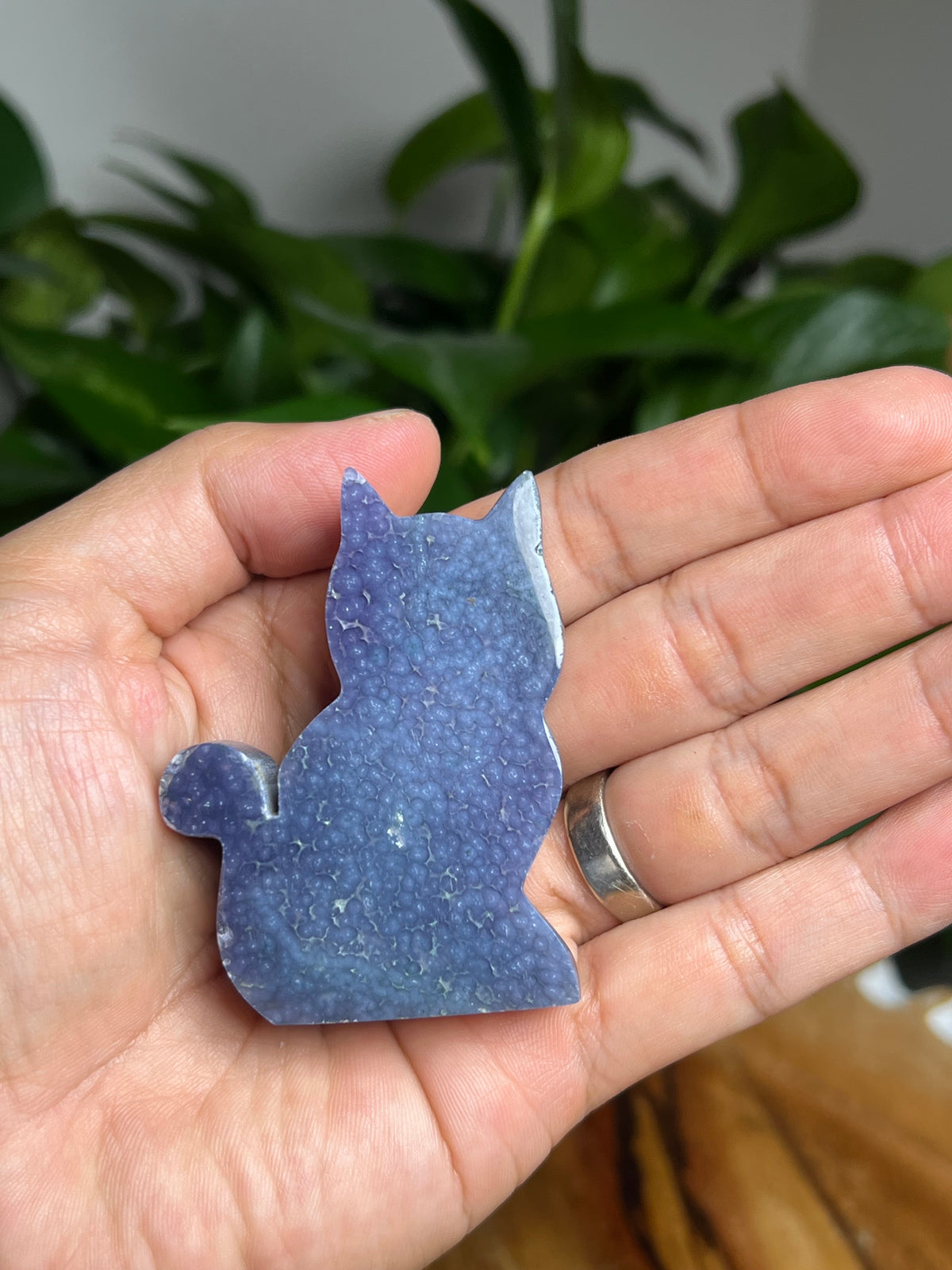 Grape Agate Mini Cat: BE