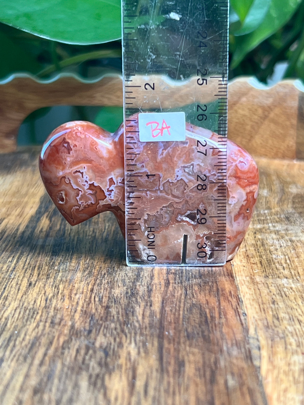 Carnelian Mini Buffalos