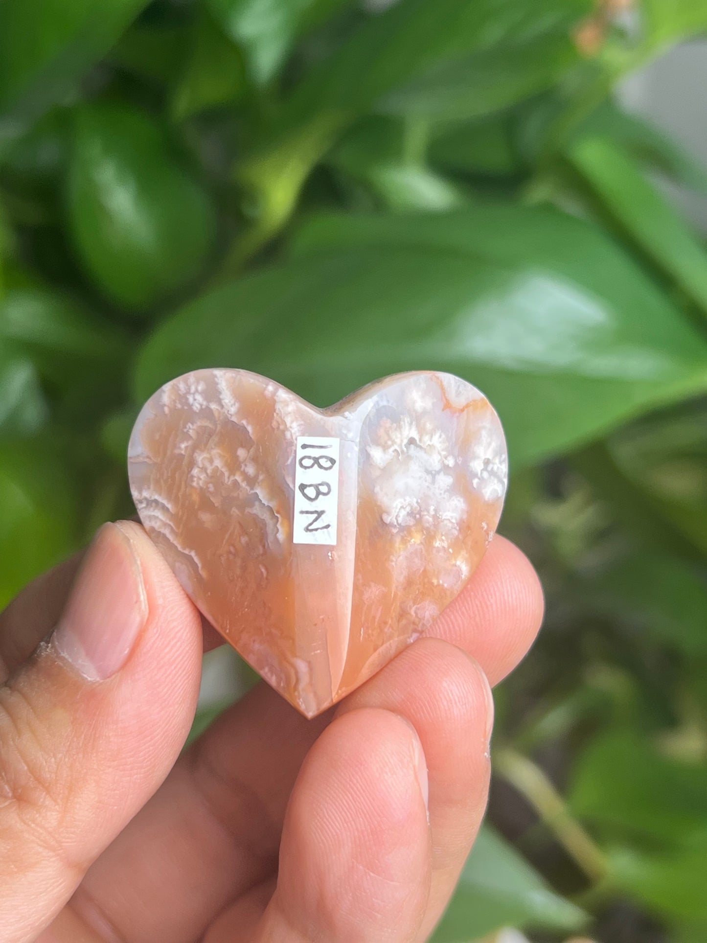 Flower Carnelian 3D Butterfly Heart: BN