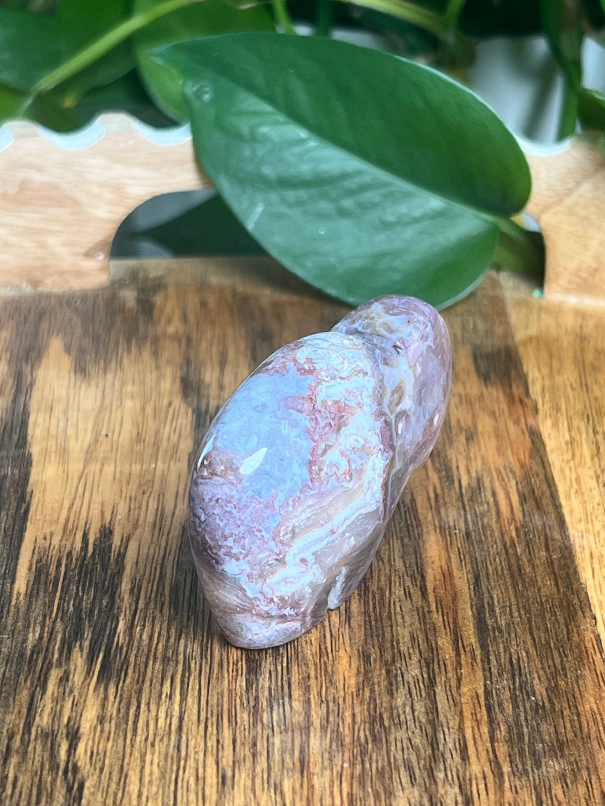 Sumatra Plume Agate Mini Buffalo: Di