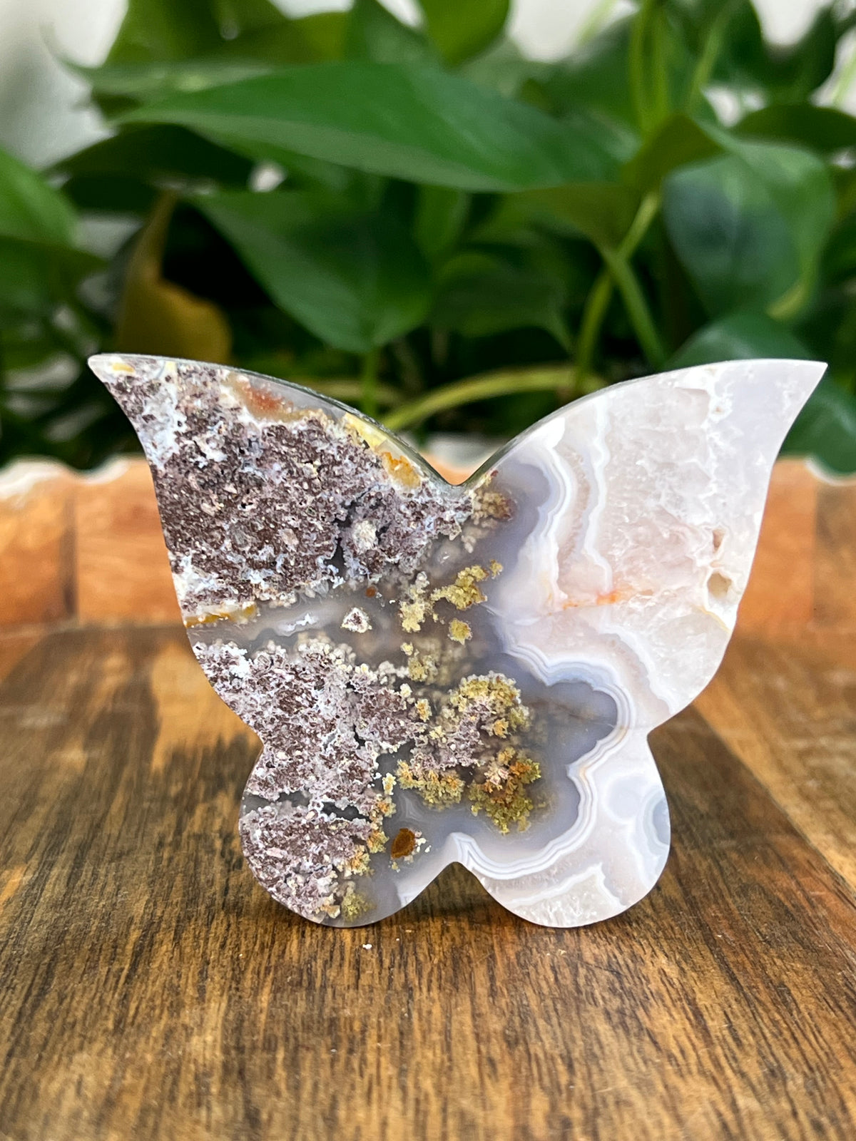 Scenic Moss Agate Butterflies