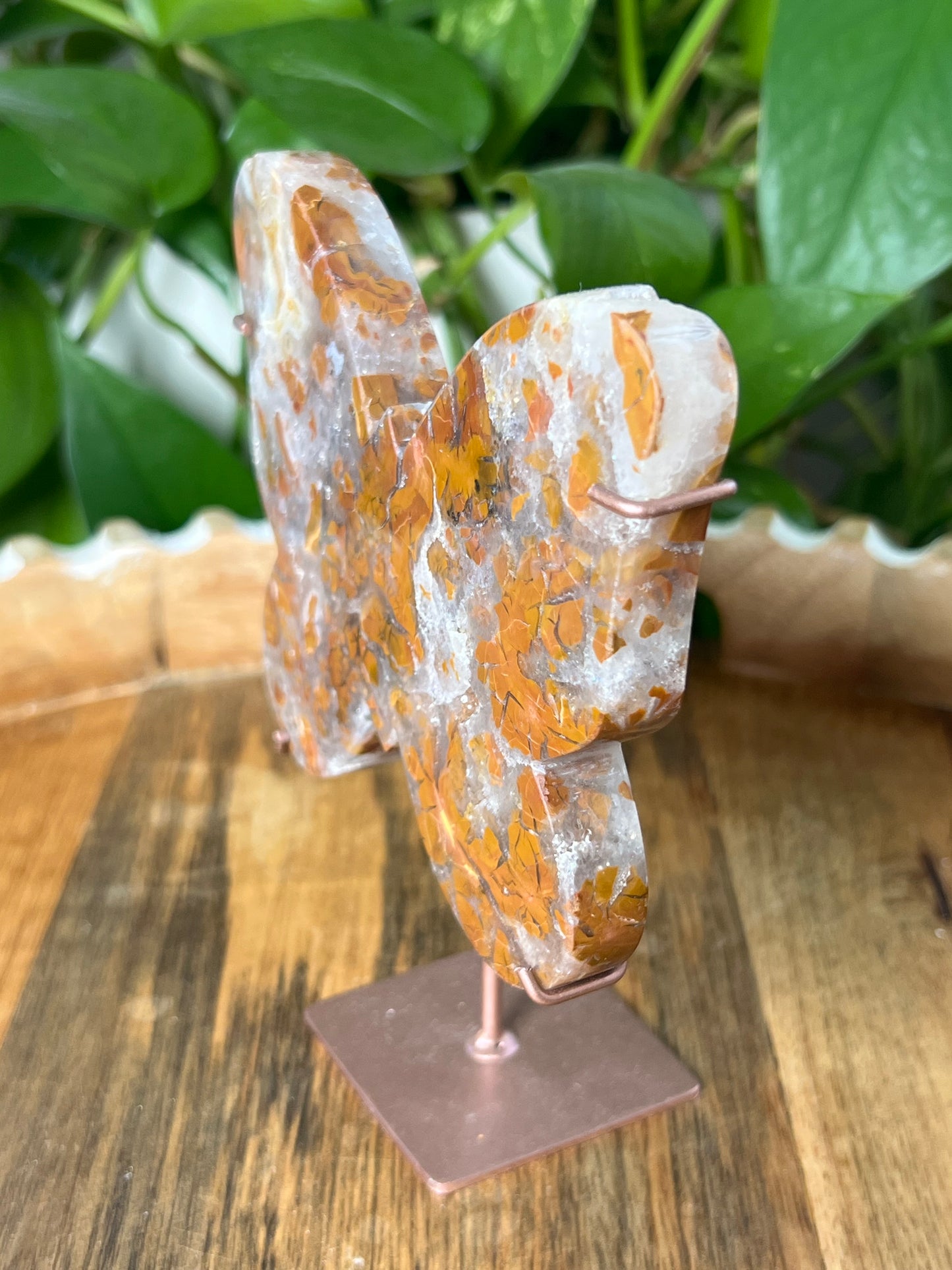 Brecciated Jasper Butterfly