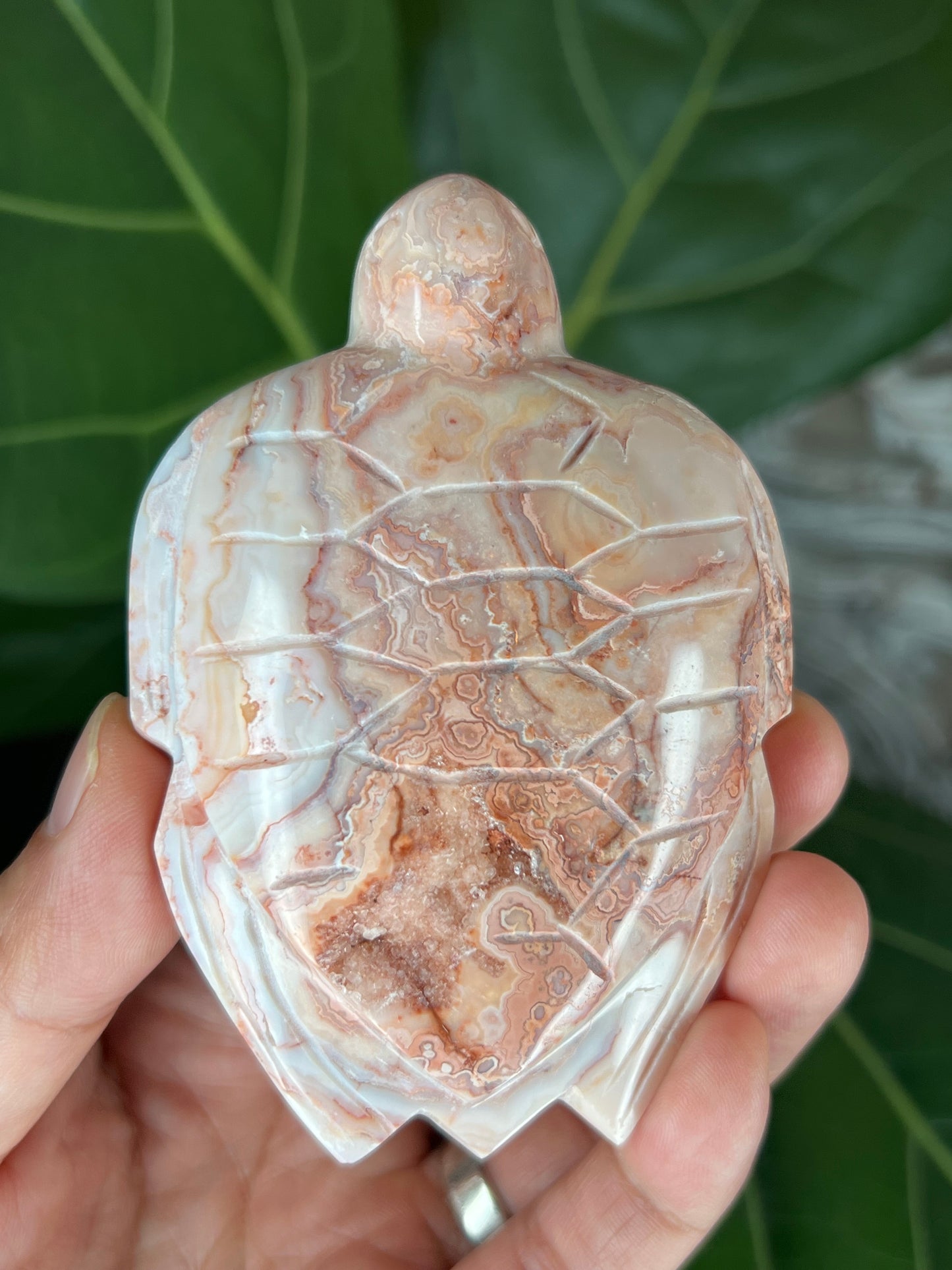 Crazy Lace Agate Turtle