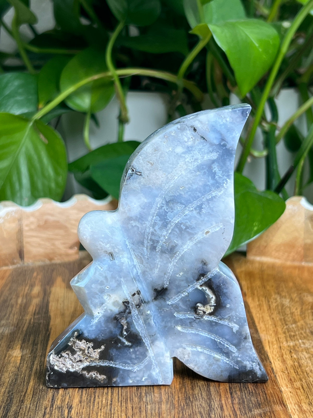 Blue Plume Agate Fairy: T