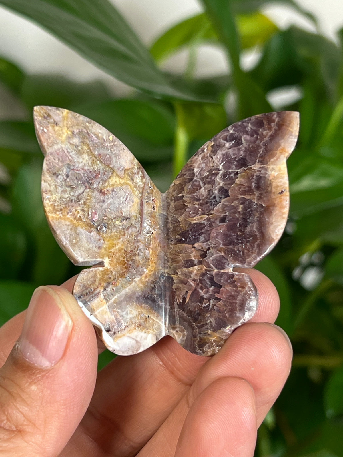 Indonesian Amethyst 3D Butterflies