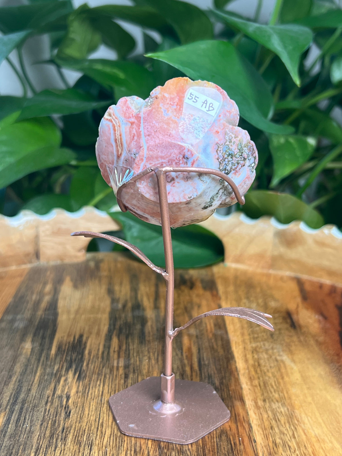 Pink River Jasper Rose: AB