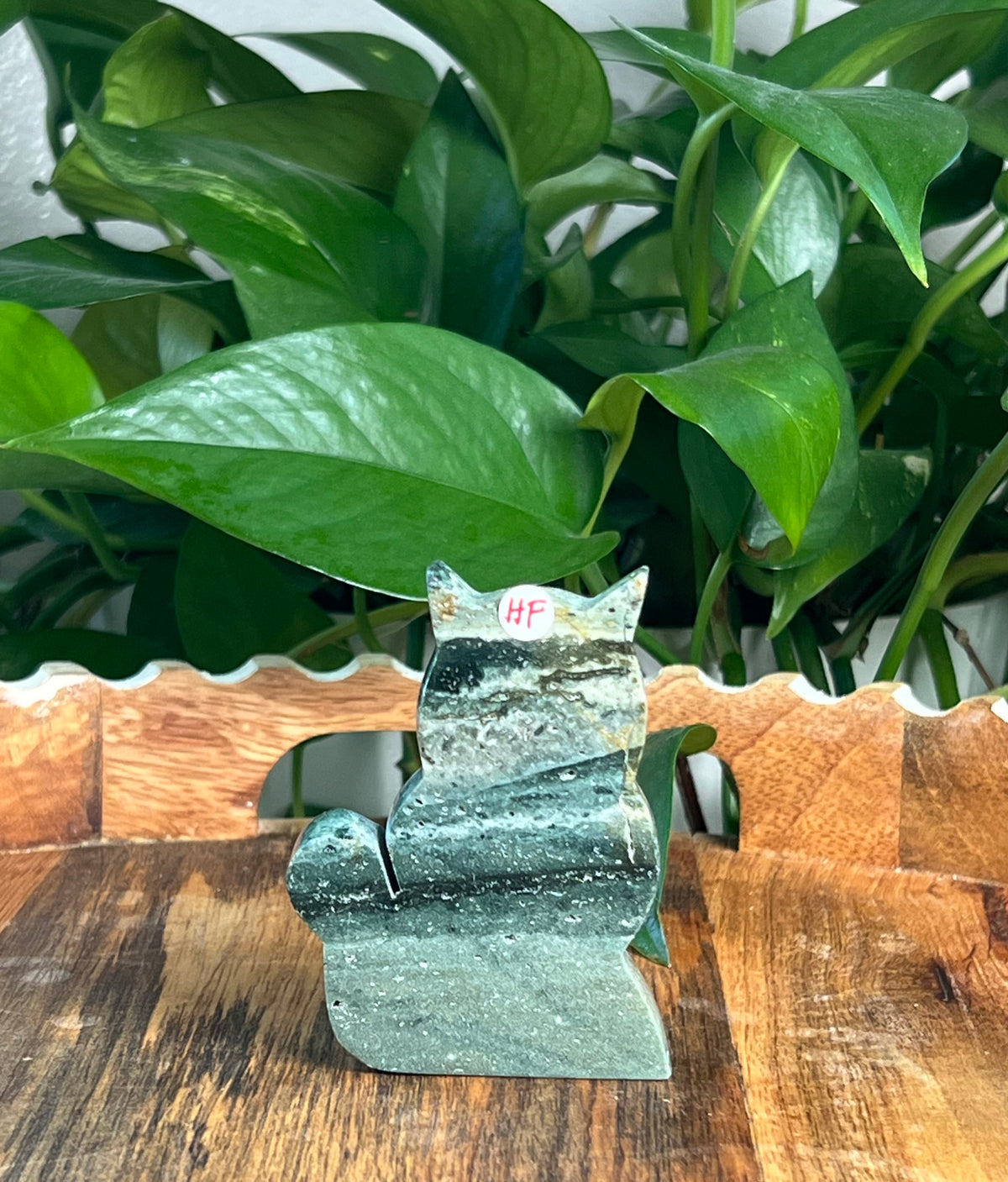 Blue Green Jasper Cats